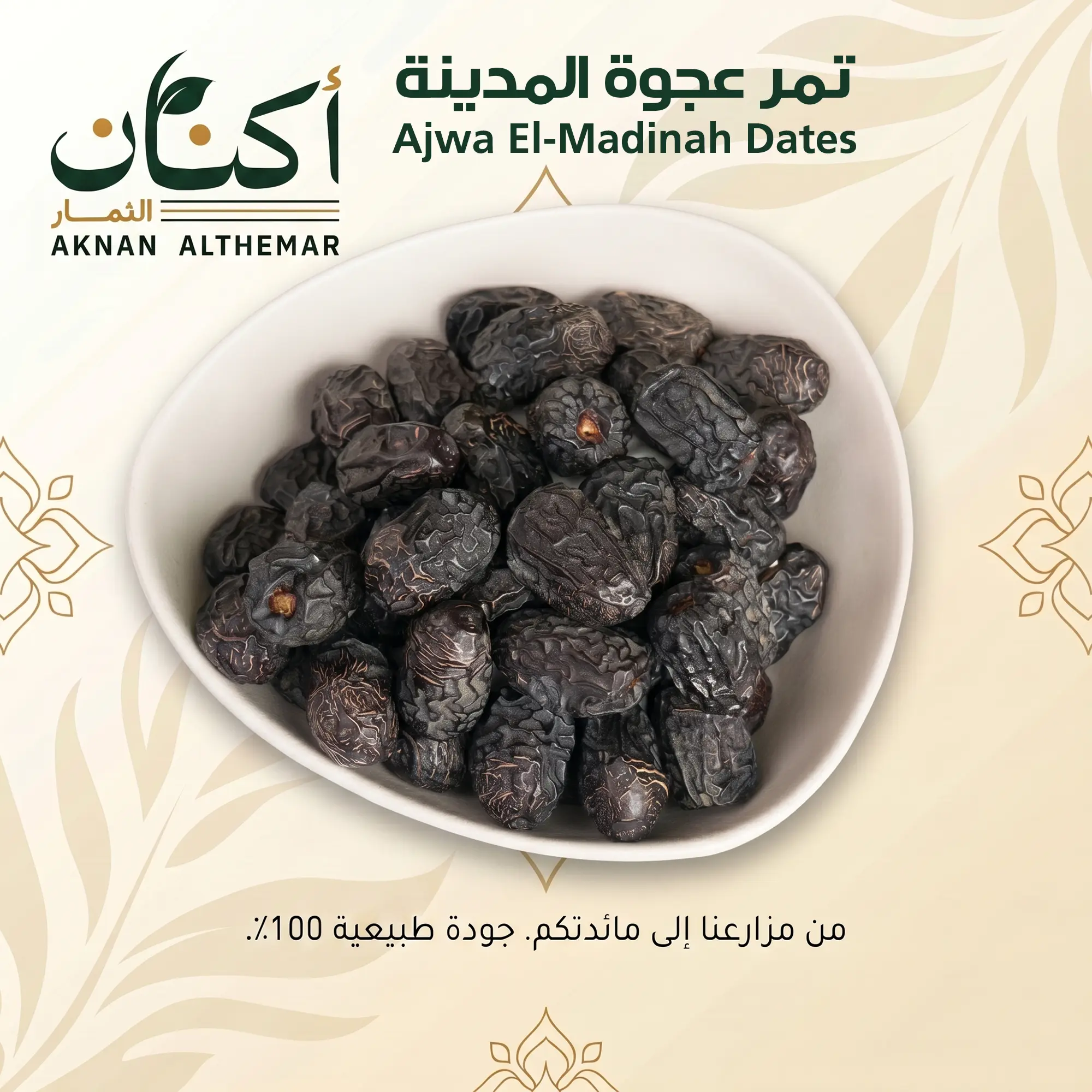 Ajwa Al-Madinah Dates - تمر عجوة المدينة