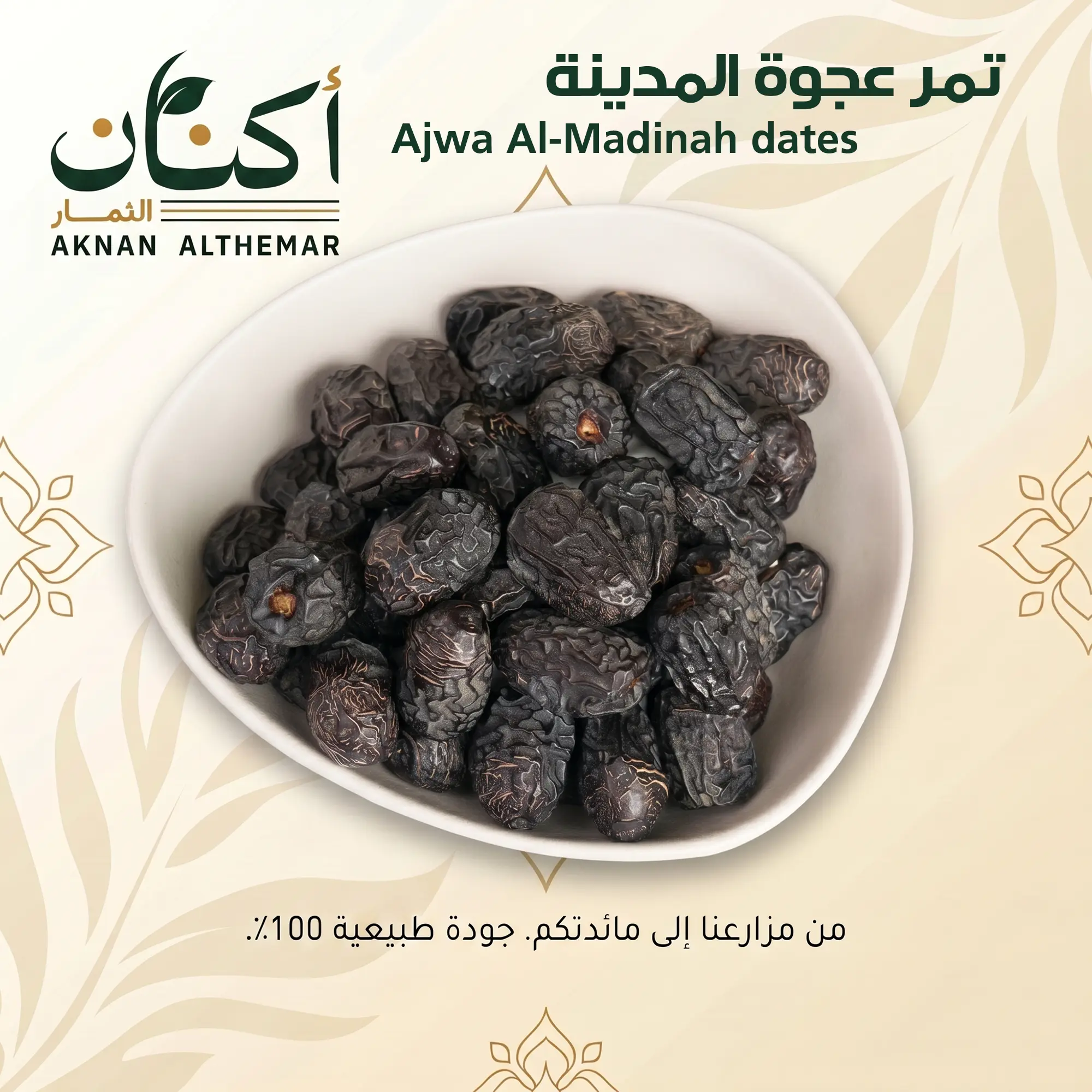Ajwa Al-Madinah Dates - تمر عجوة المدينة