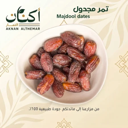 Majdool dates - تمر مجدول